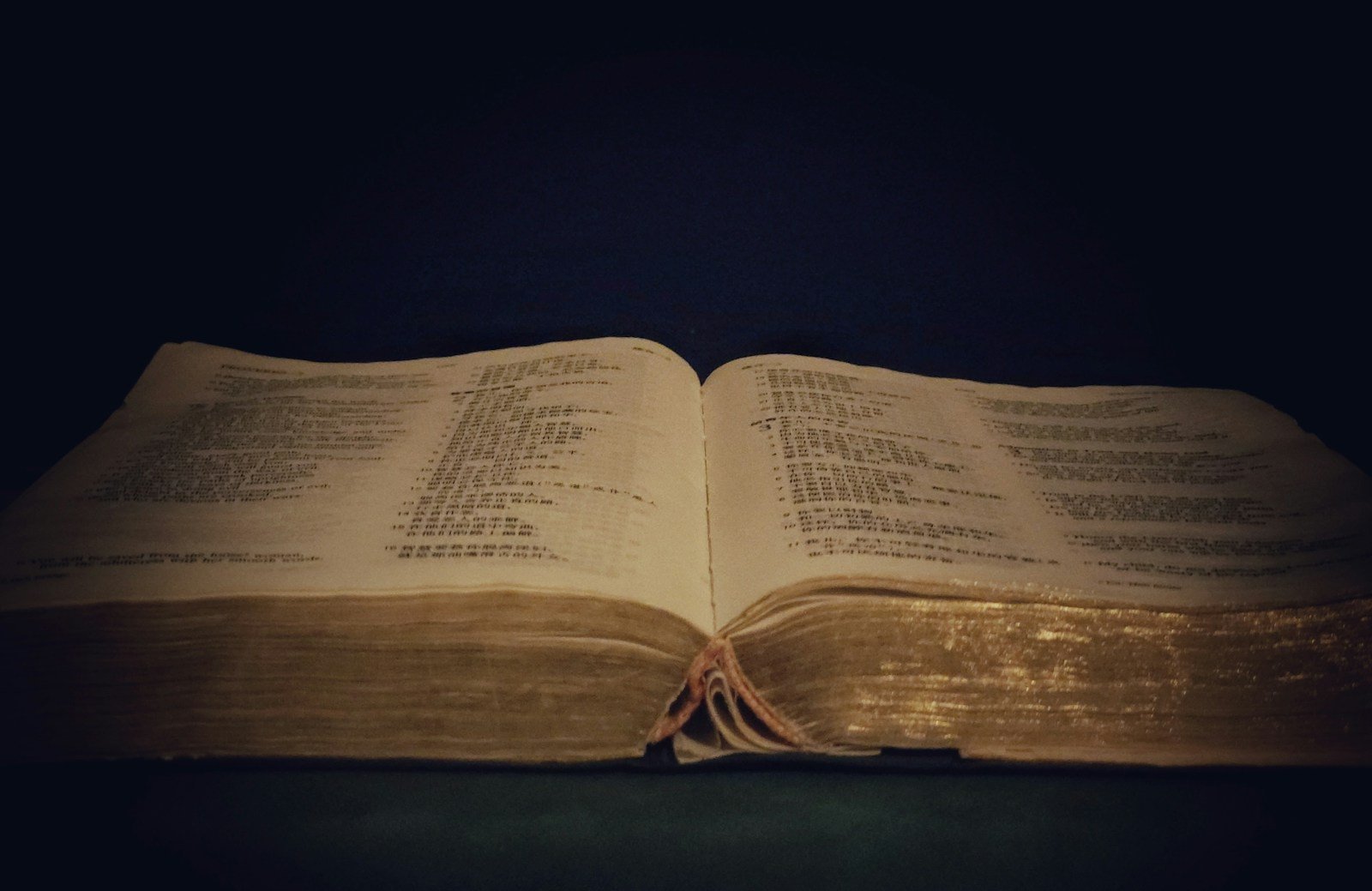 opened book on brown wooden table