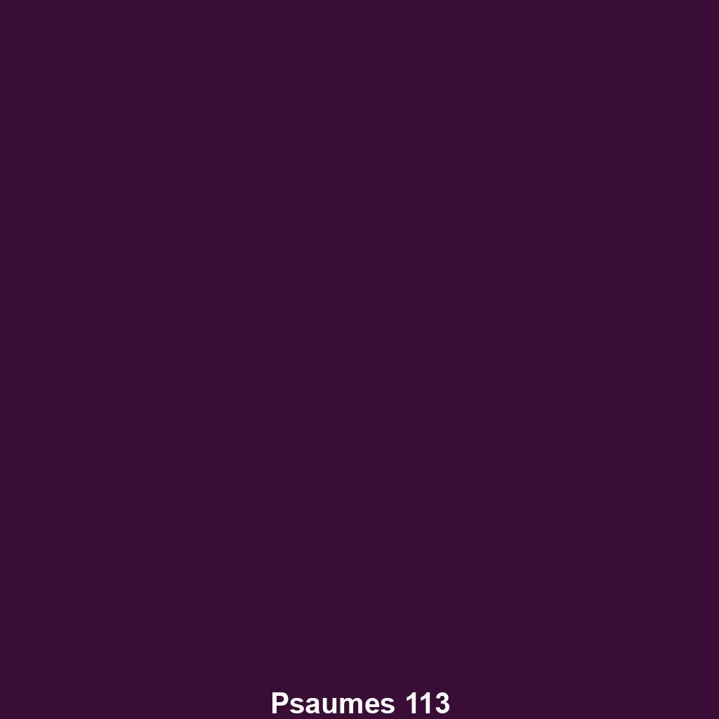 Psaumes 113