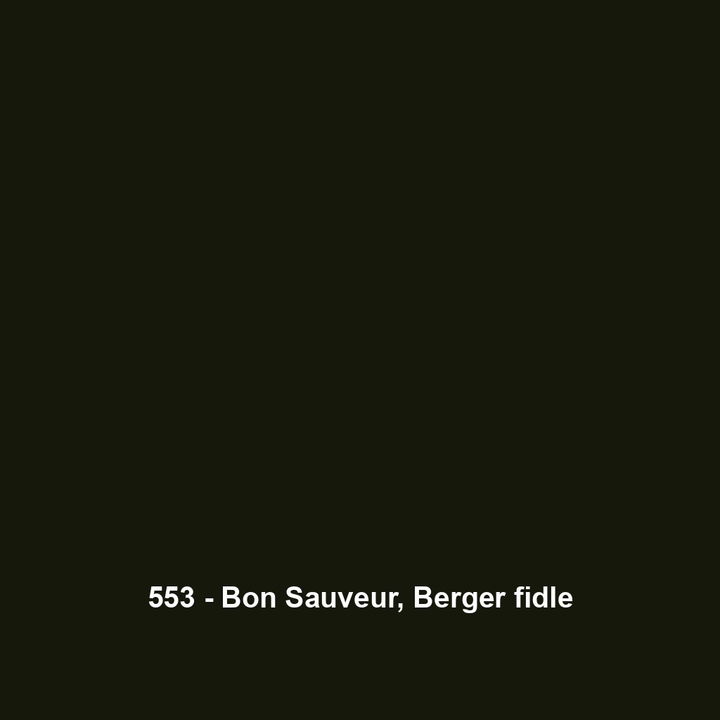 553 - Bon Sauveur, Berger fidle