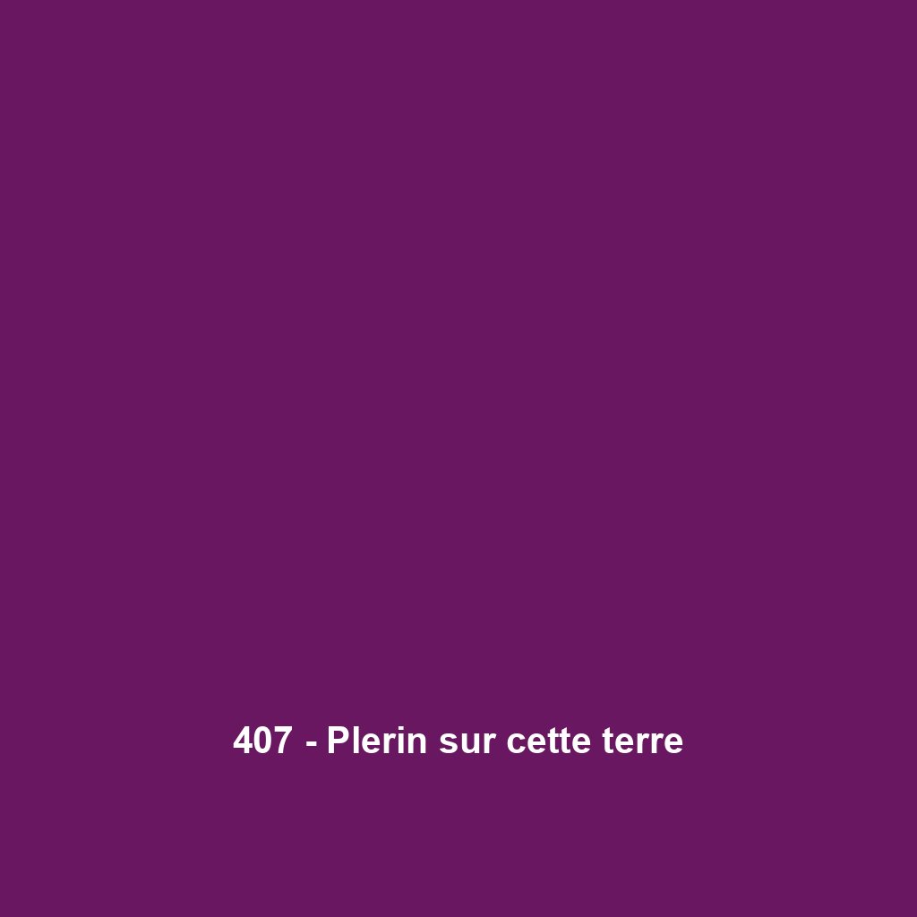 407 - Plerin sur cette terre