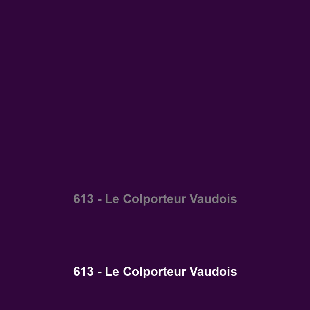 613 - Le Colporteur Vaudois