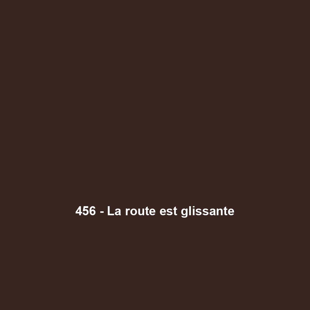 456 - La route est glissante