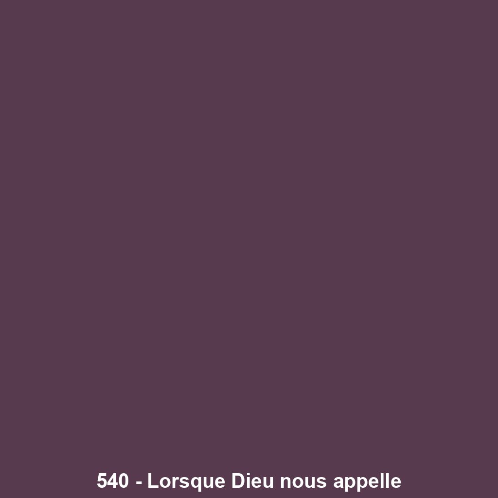 540 - Lorsque Dieu nous appelle