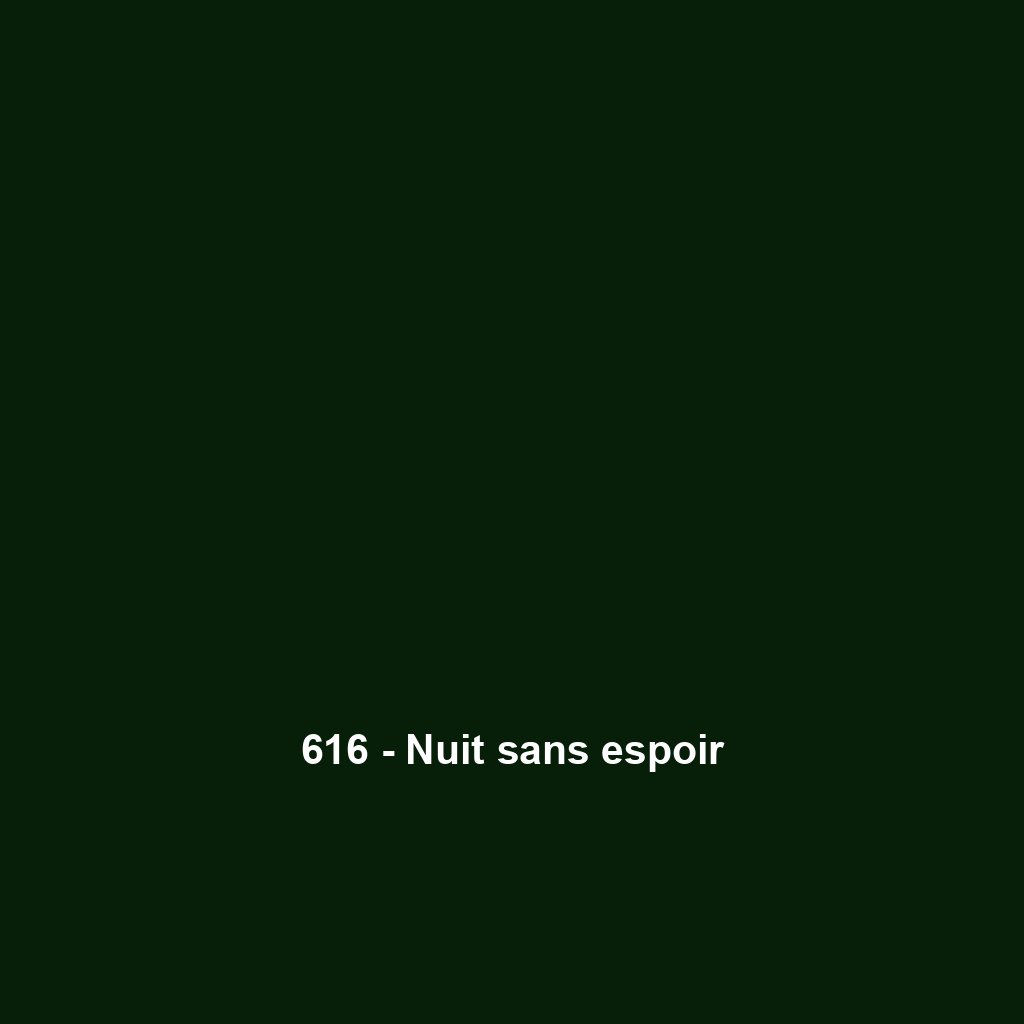 616 - Nuit sans espoir