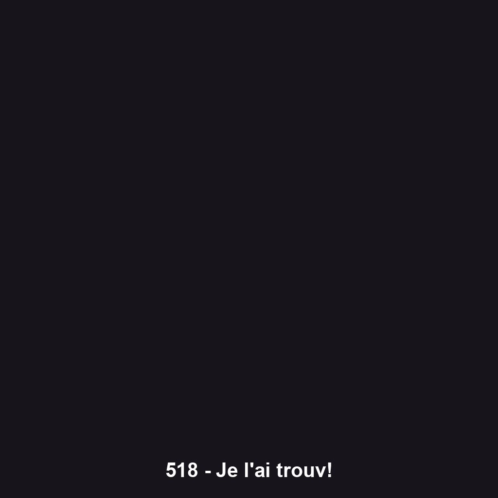 518 - Je l'ai trouv!