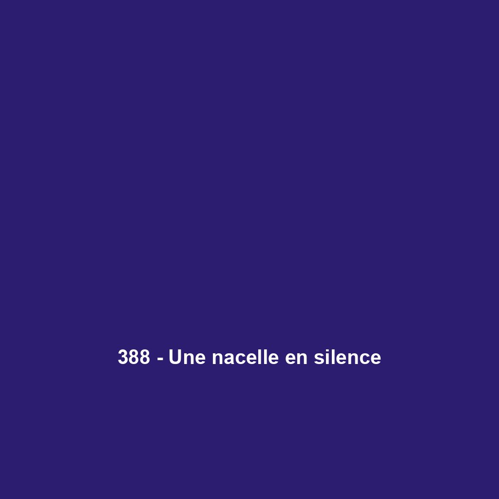 388 - Une nacelle en silence