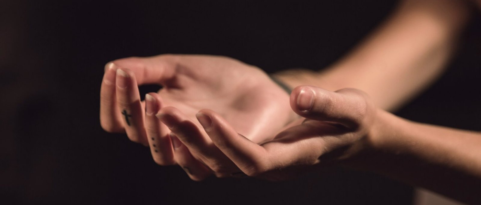 two human palms