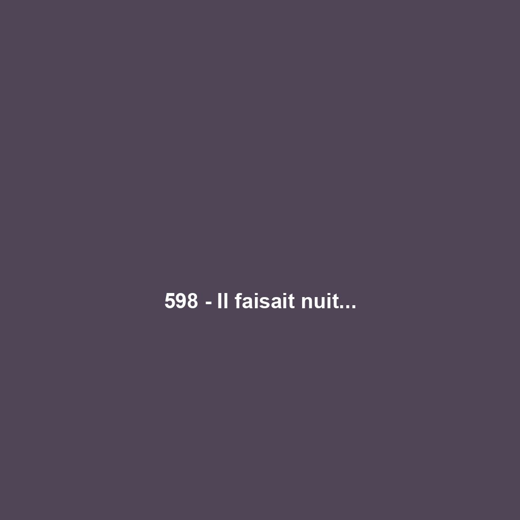 598 - Il faisait nuit...