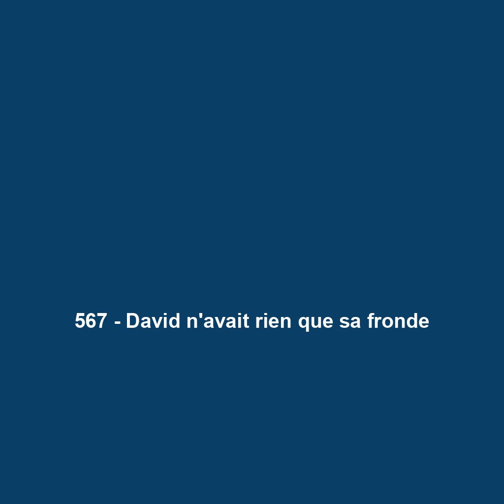 567 - David n'avait rien que sa fronde